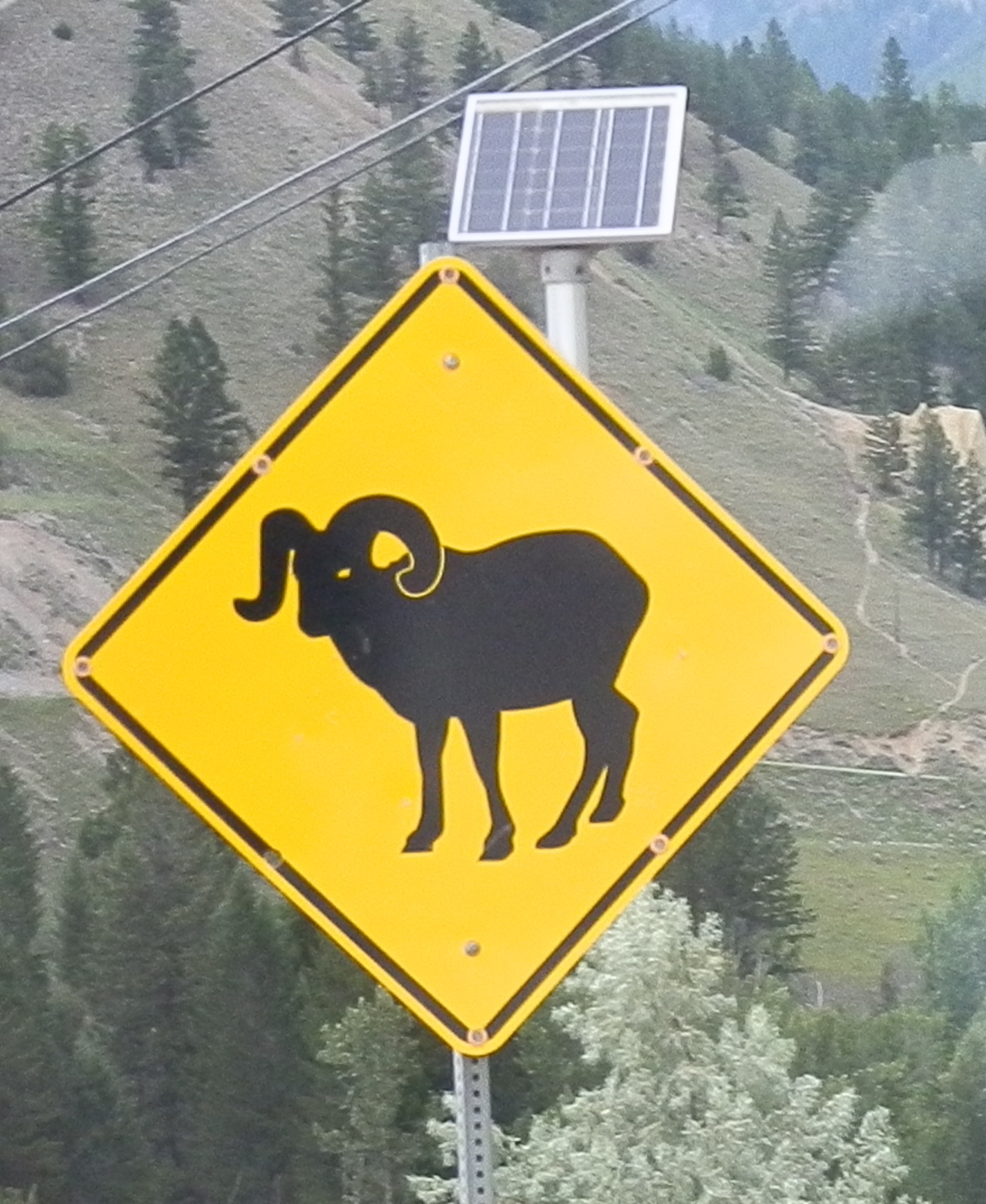 Mountain Goat Crossing Sign near Radium Hot Springs, British Columbia, Canada