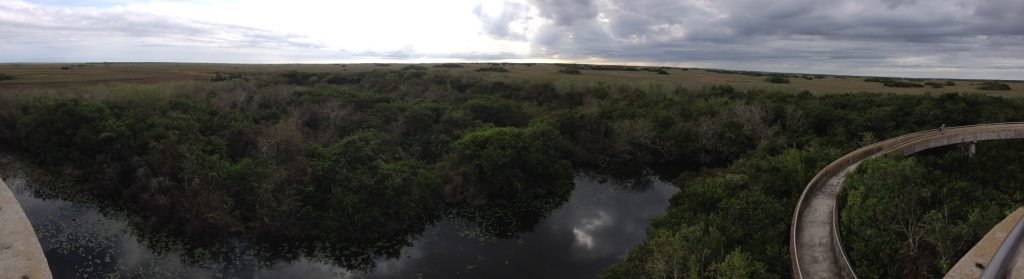 Everglades National Park - Florida, USA